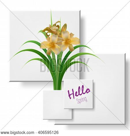 Daylily Bush With Yellow Delicate Flowers And Green Fan Leaves, Vector Illustration