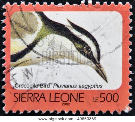 SIERRA LEONE - CIRCA 2002: A stamp printed in sierra Leone shows Crocodile bird pluvianus aegyptius