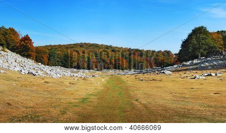 Autumn Scene