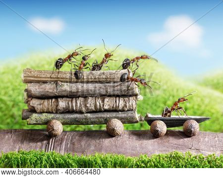 Ants Are Making Houses. Red Ants Are Working Together To Build Houses Or Nests To Find Food With The