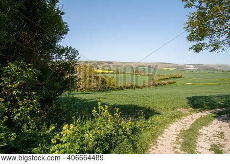 A View Of The South Downs From Berwick, Sussex, Uk, Near To Berwick Church