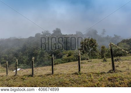 The Rainforest In Volkan Baru National Park, Panama