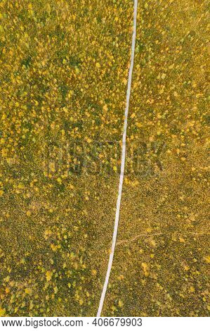 Miory District, Vitebsk Region, Belarus. The Yelnya Swamp. Aerial View Of Yelnya Nature Reserve Land