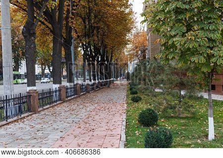 Tashkent, Uzbekistan - November 3, 2019: Amir Temur Avenue In Tashkent.