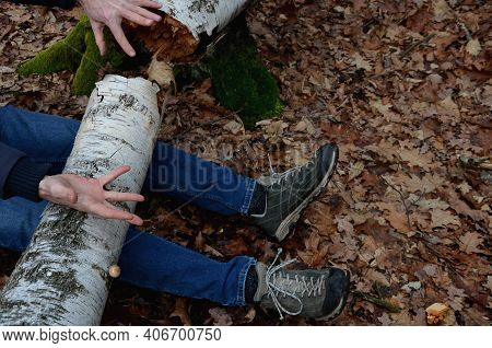 Dead Man Covered With A Tree. The Tree Turned Upside Down And Injured Itself, Falling While Walking 