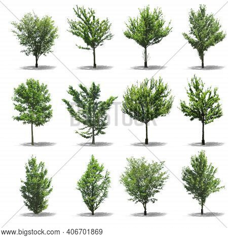 Set Of Tree. Tree Logo. Tree Logo Vector. Tree Icon Vector. Tree Icon. Tree Logo Vector. Decorative 