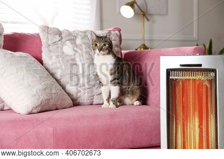 Cute Cat On Sofa Near Modern Electric Ultrared Heater Indoors