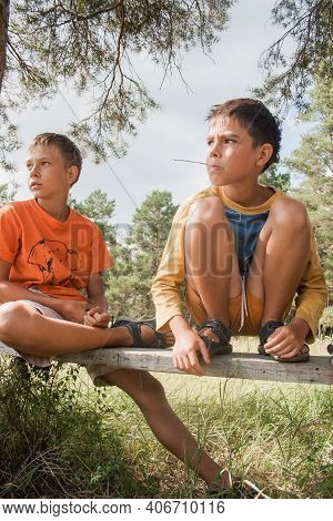Two Boys In Shorts Sit On A Bench Under A Tree. Boy Looks To The Sky. Dreamer Guy