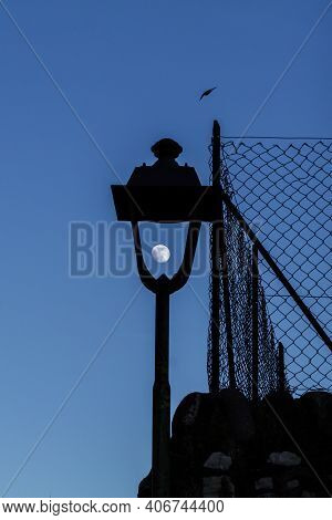 Suggestive Photo Of The Moon Inside A Street Lamp In The Evening.