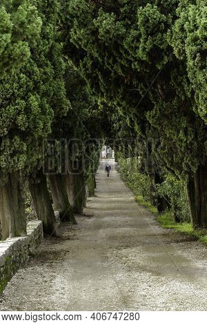 Avenue Leading To The Park Of San Vigilio. The Park Forms A Peninsula That Closes The Gulf Of Garda 