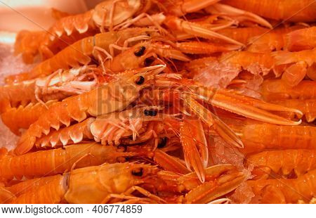 Close Up Fresh Catch Of Raw Red Langoustines (nephrops Norvegicus, Norway Lobster, Dublin Bay Prawn 