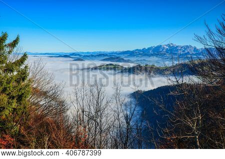 Fog In Autumn, On The Hill Of The Schnebelhorn. Zurich Oberland Swiss.