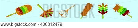 Set Of Feather Duster Cartoon Icon Design Template With Various Models. Modern Vector Illustration I