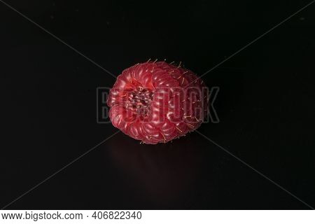 Ripe Raspberry Isolated On Black Background. Raspberry Macro Photography.  Raspberry Photo Part Of M