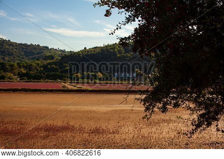 View Of The Strunjan Nature Park In Slovenia
