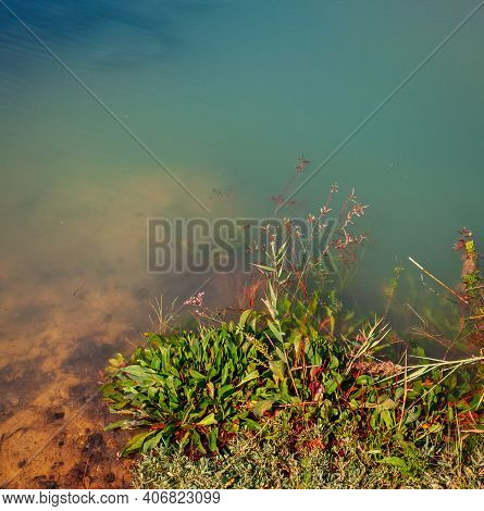 View Of A Pond In The Nature Reserve Of Strunjan, Slovenia