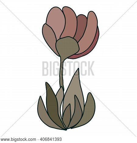 Vector Flower With Leaves Pink And Green