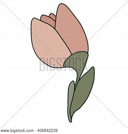 Vector Flower With Leaves Pink And Green