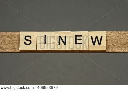 Text The Word Sinew From Brown Wooden Small Letters With Black Font On An Gray Table