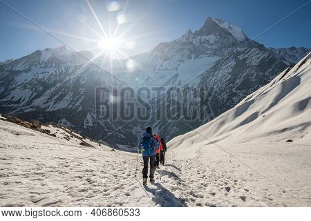 Trekker Walking On The Snowfield With Machhapuchhre Mountain (mt.fish Tail) The Holy Mountains In Th