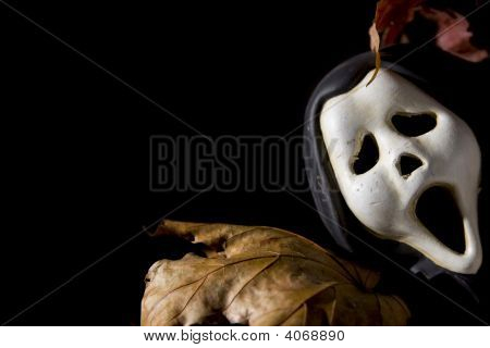 Halloween-Serie auf schwarz