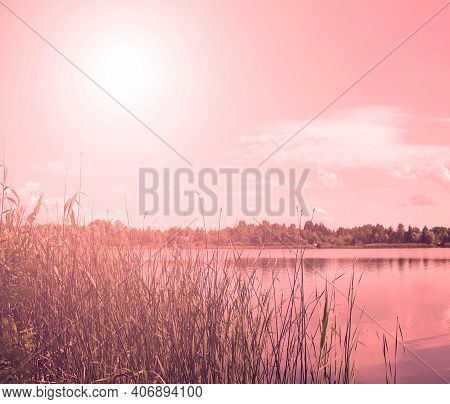 Red Sunset Of The White Sun Over The Lake In Nature In The Evening