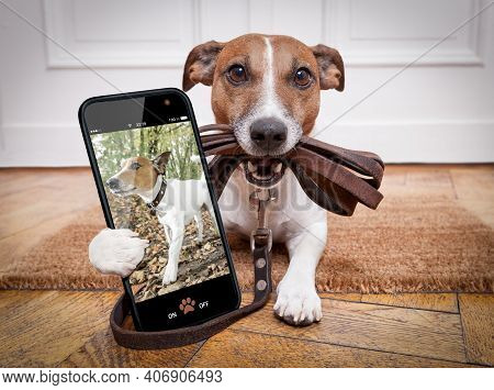 Dog With Leather Leash Waiting To Go Walkies With Owner Outdoors, Making A Selfie