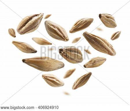 Barley Malt Grains In The Shape Of A Heart On A White Background