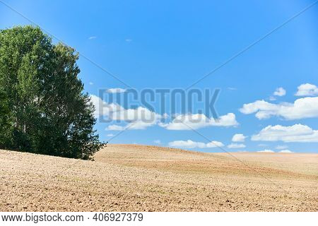 Ploughed Arable Plowing Agricultural Land Plowed For Crops With Birch Trees Under Blue Sky With Clou