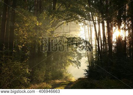 Road path autumn forest Nature trees landscape sunrise Nature landscape landscape Nature background woods Nature landscape Nature background landscape Nature background Nature landscape Nature background landscape Nature landscape Nature background.