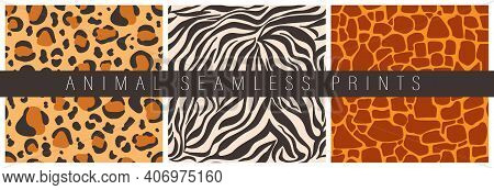 Set Of Vector Seamless Patterns Of Decorative Animal Prints. Abstract Stripes And Spots Similar To T