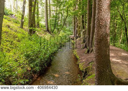 Hiking Trail And Stream Near Trusetaler Waterfall In Thuringia, Germany