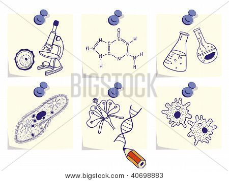 Biolog sketchers e formule su bastoni memo giallo