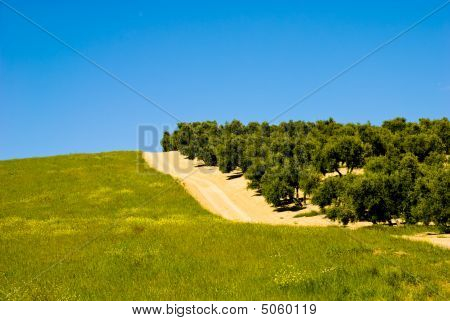 スペインの風景