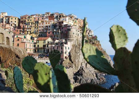 Manarola Cinque Terre