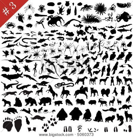 Conjunto de silhuetas de animais #3