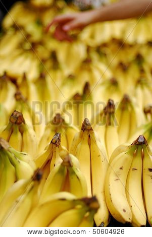 Bunch Of Ripe Bananas