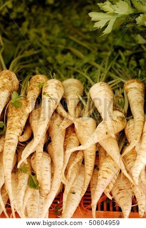 Whole Raw Parsnips For Sale