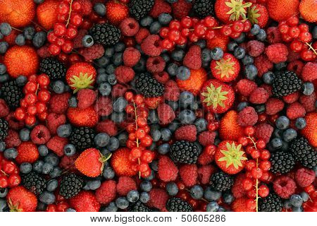 Berry Fruits