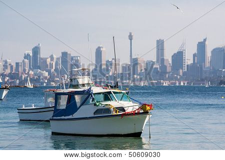Yachts Moored In Sydney Harbour