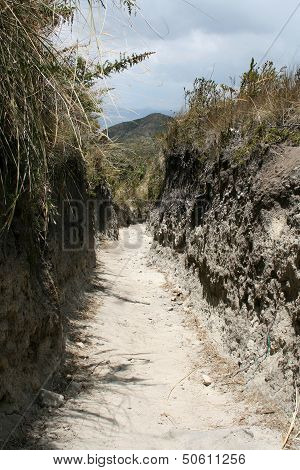 Hiking Trail Through a Gully