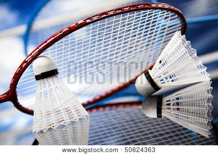 Badminton shuttlecock