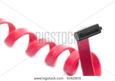 Digital Pink slange