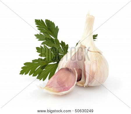 Garlic with parsley leaf isolated on white