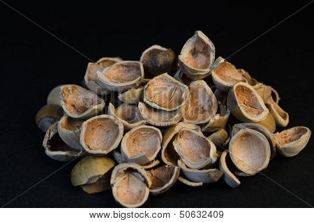 Handful of whole hazel nuts shels isolated