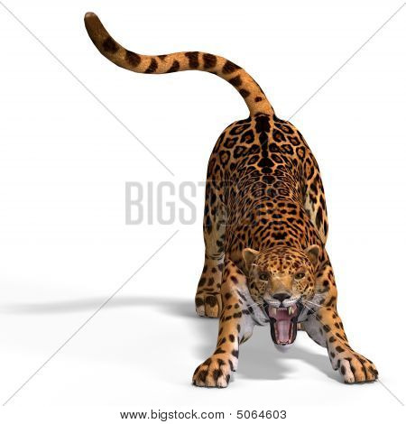 Stor kat Jaguar