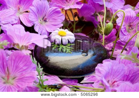 Spa Garden