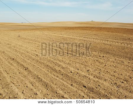 plowed field lanscape
