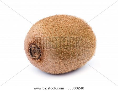 Kiwi Fruit