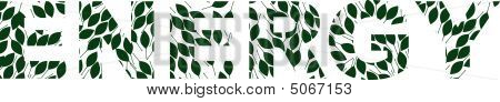 Leafs_energy